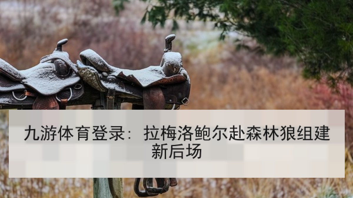 九游体育登录: 拉梅洛鲍尔赴森林狼组建新后场