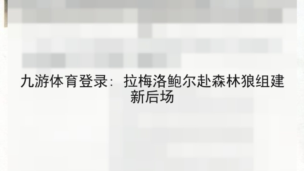 九游体育登录: 拉梅洛鲍尔赴森林狼组建新后场