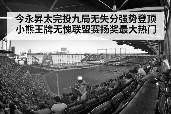 baseball stadium crowd