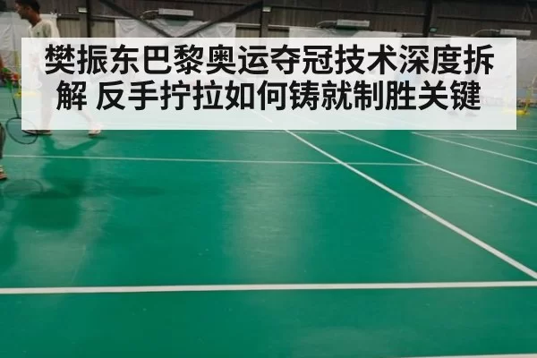樊振东巴黎奥运夺冠技术深度拆解 反手拧拉如何铸就制胜关键